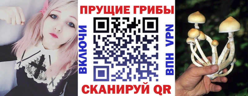 Купить закладки  Юрга  Галлюциногенные грибы ЛСД 